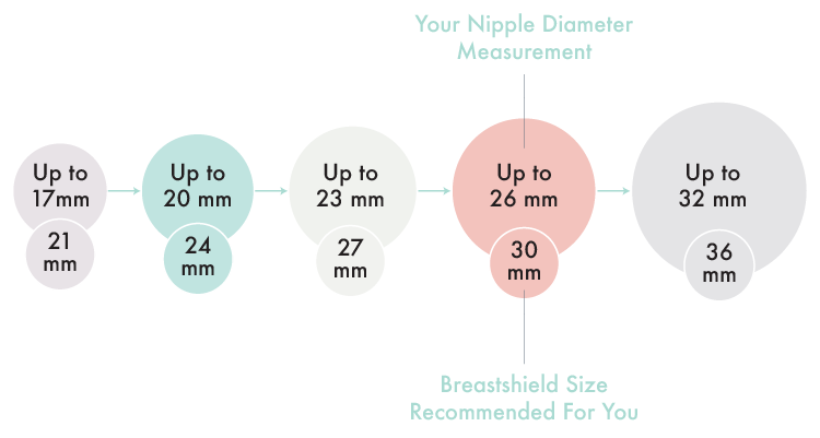 What's My Breast Size?, Flange Guide